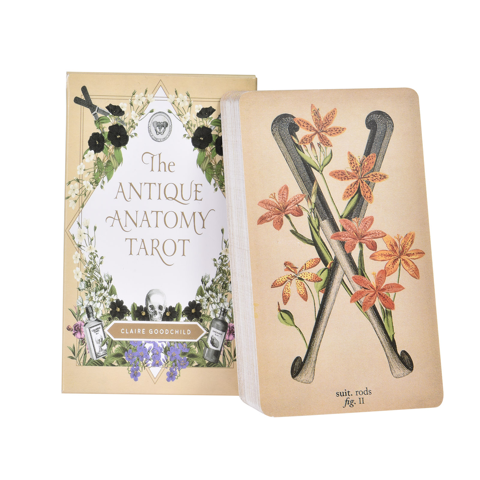 The Antique Anatomy Tarot Card - Board Game Oracle review and price