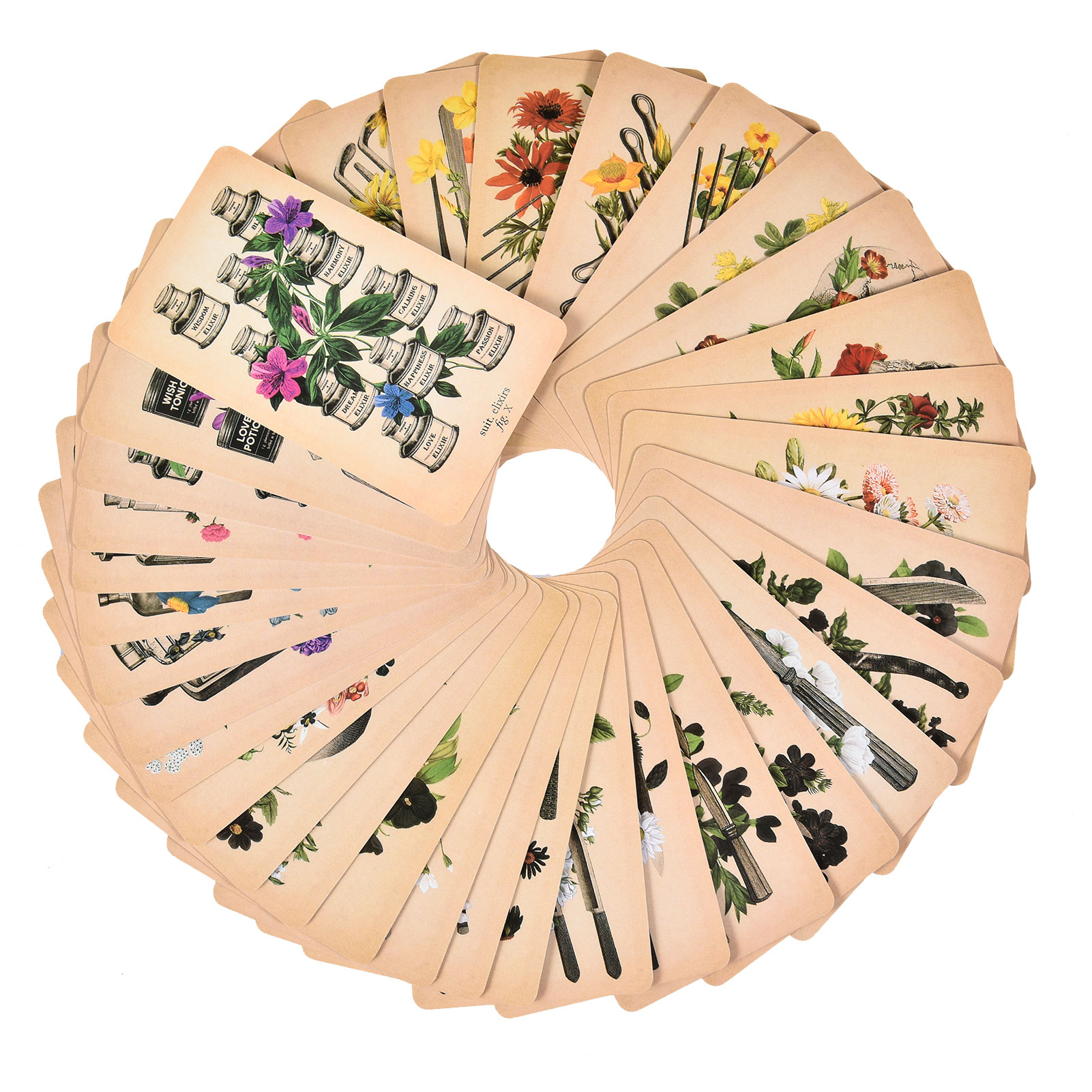 The Antique Anatomy Tarot Card - Board Game Oracle review and price